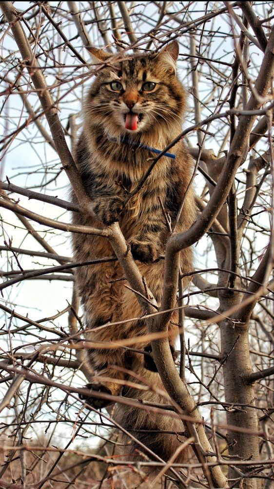 Photograph by Марина Тувышева-Чукавина