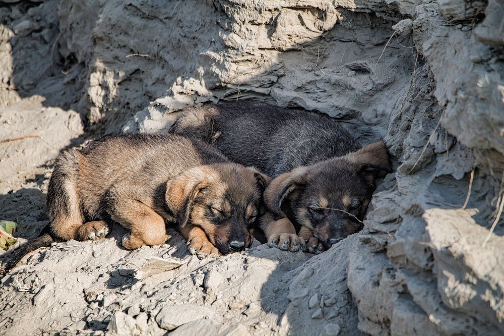 Photograph by Юлия