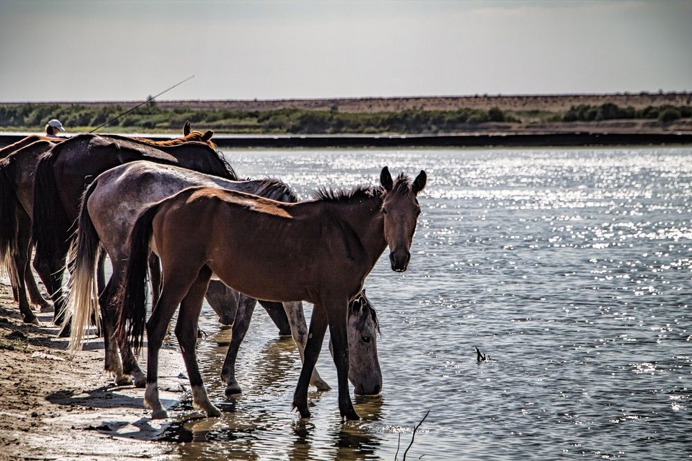 Photograph by Юлия