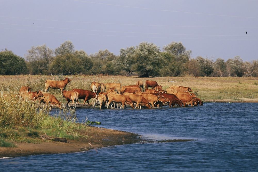 Photograph by Ольга Смачных
