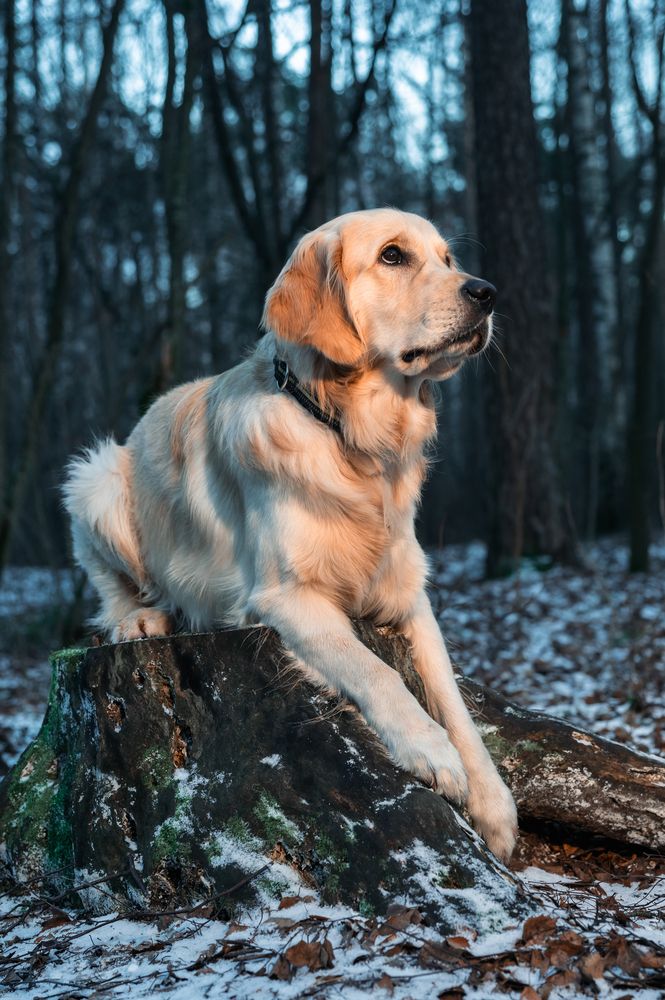 Photograph by Аверина Елена