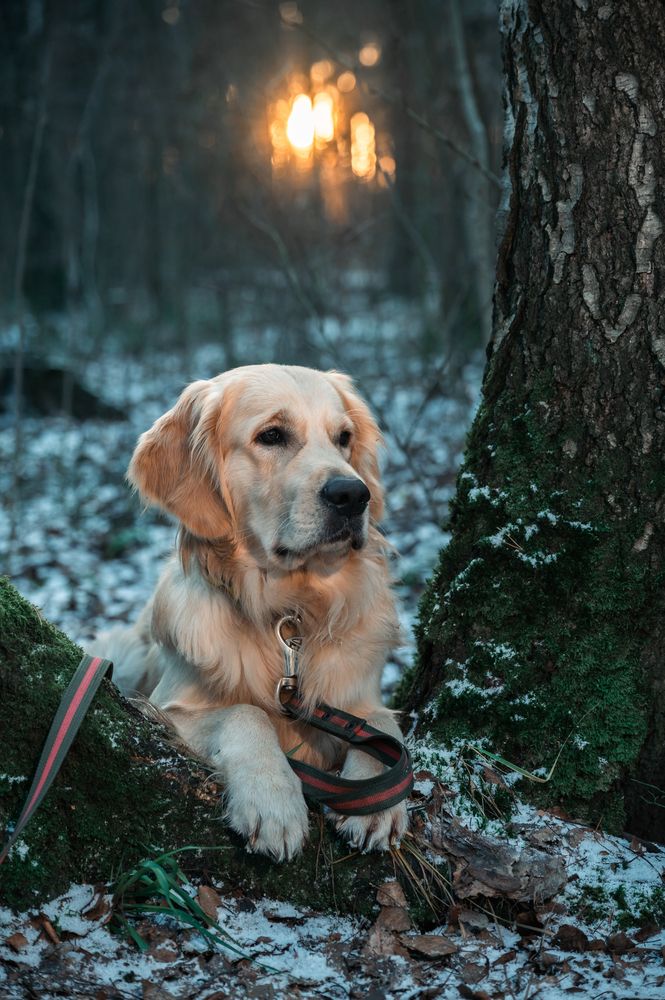 Photograph by Аверина Елена