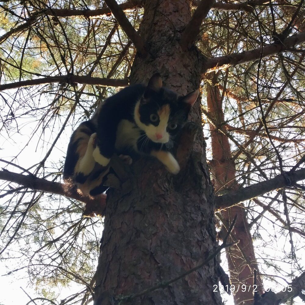 Photograph by Luiza Femin