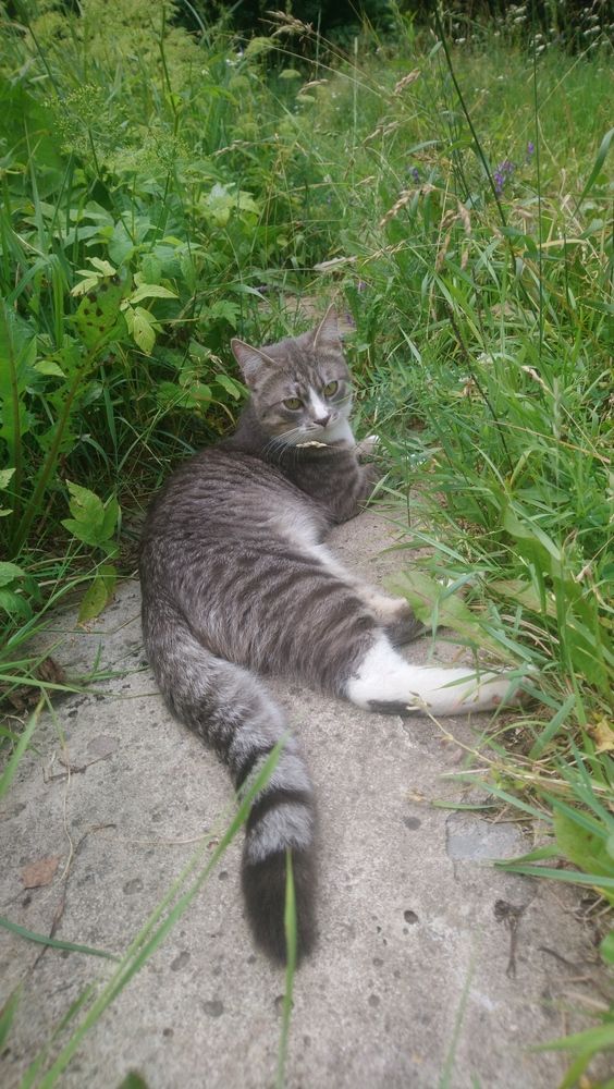 Photograph by Luiza Femin