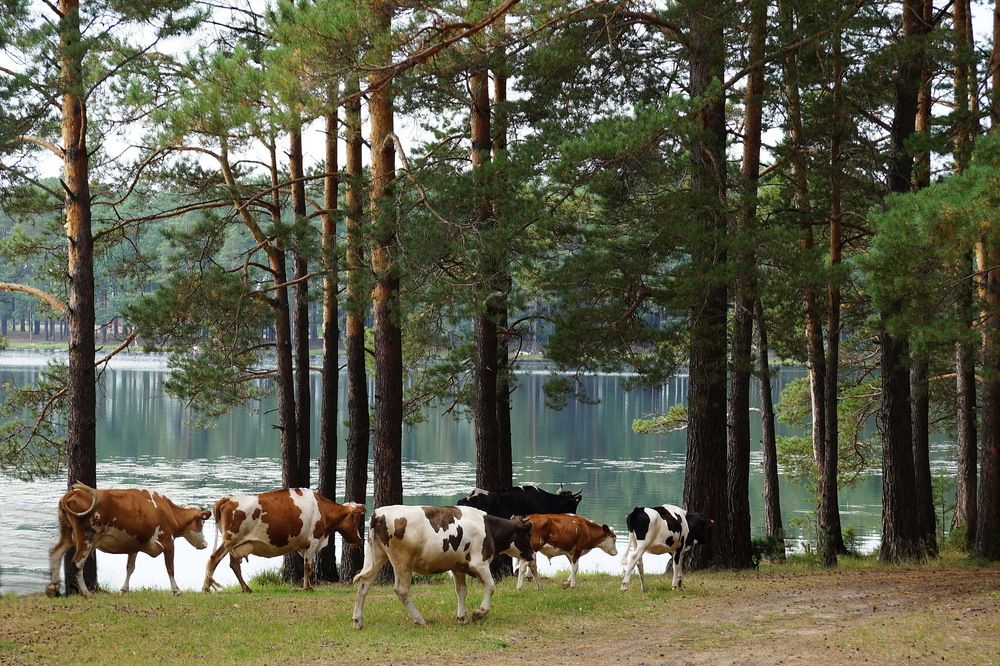 Photograph by Галина Кан