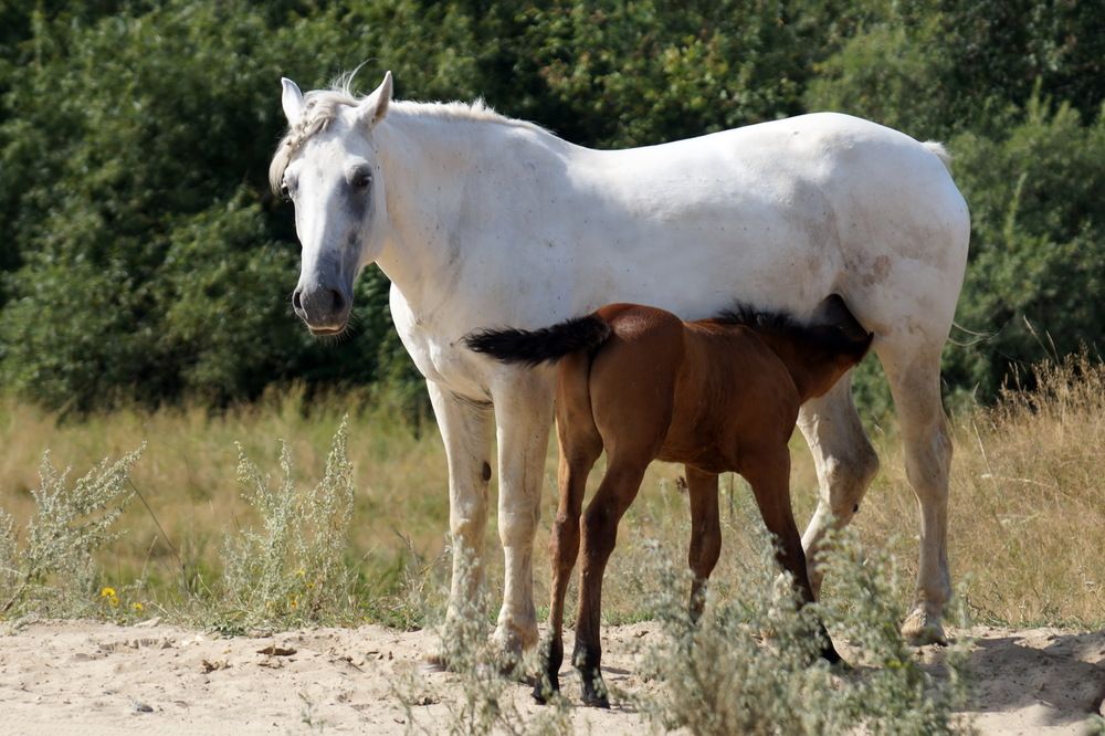 Photograph by Галина Кан