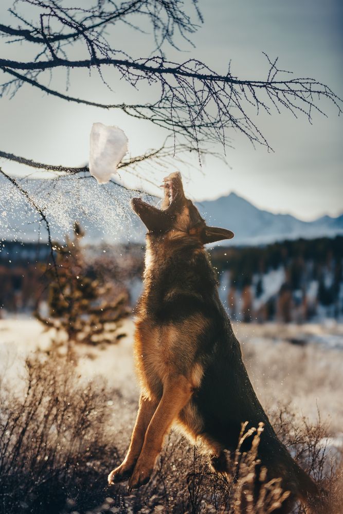 Photograph by Виктор Гагарин