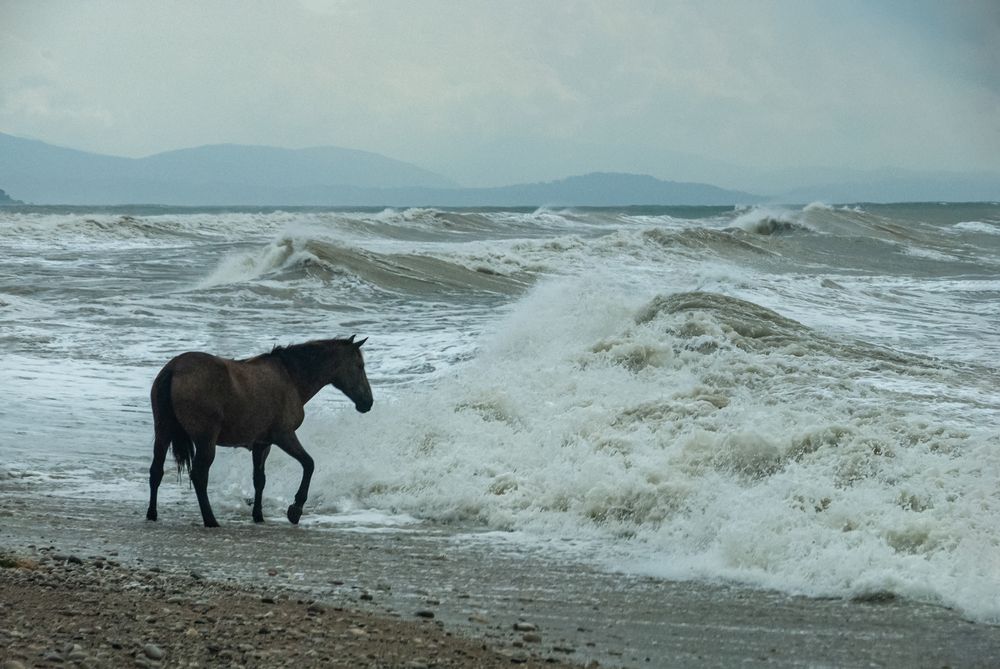 Photograph by Римма Волченко