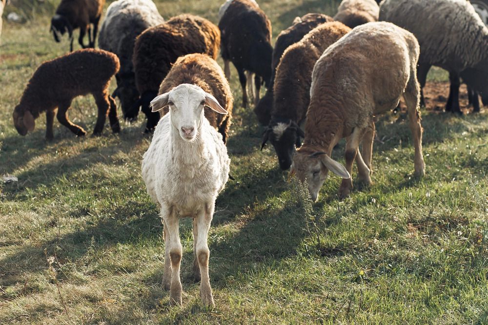 Photograph by Ксения Ясюченя