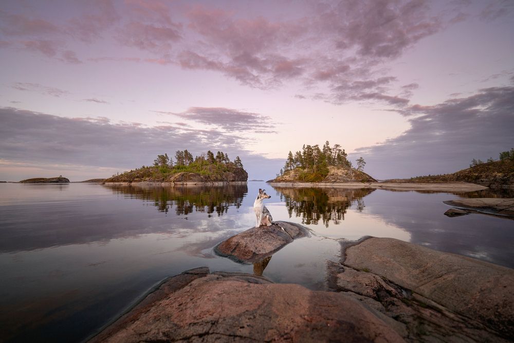 Photograph by Elena Yakuseva