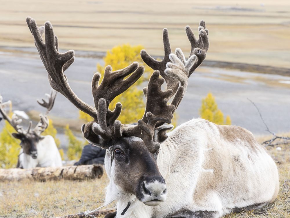 Photograph by Марина Маликова