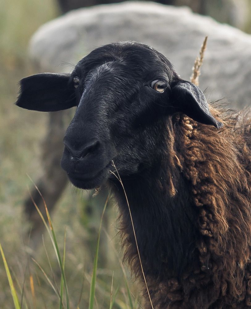 Photograph by Ксения Ясюченя