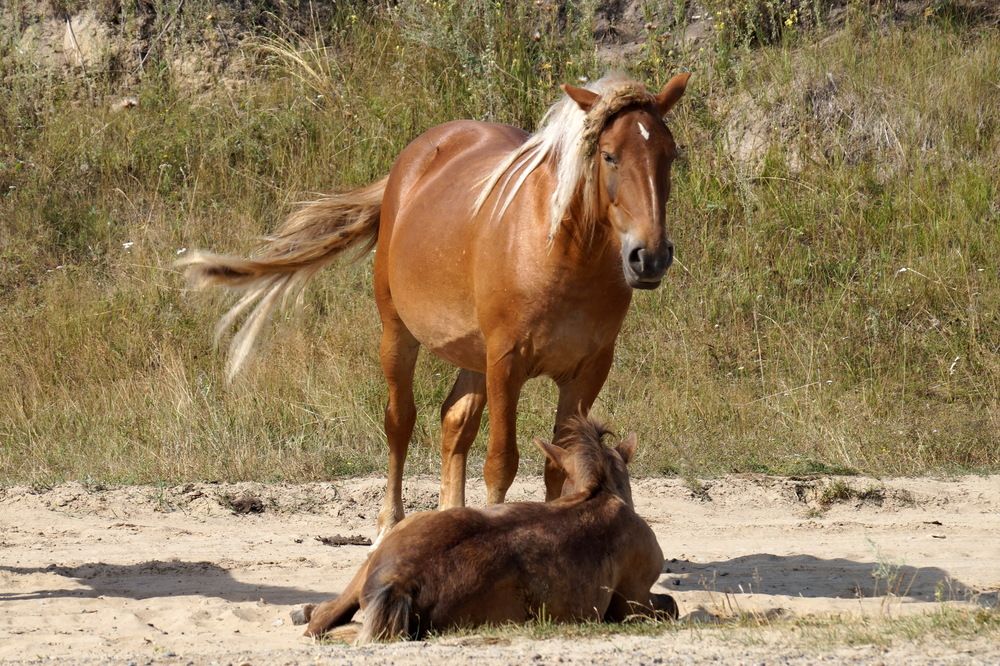 Photograph by Галина Кан