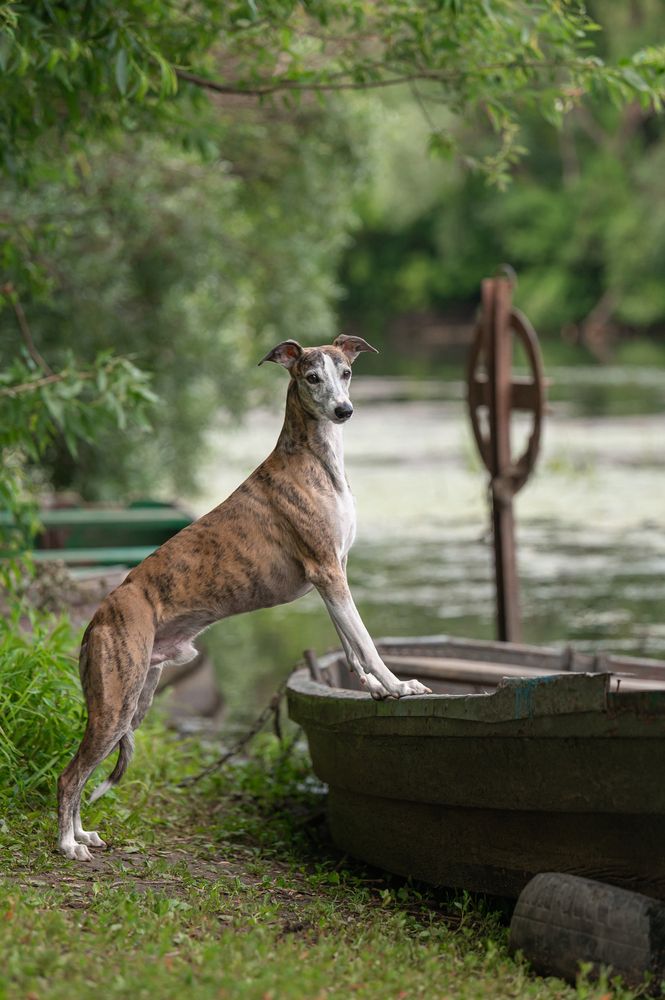 Photograph by Анастасия Камалова