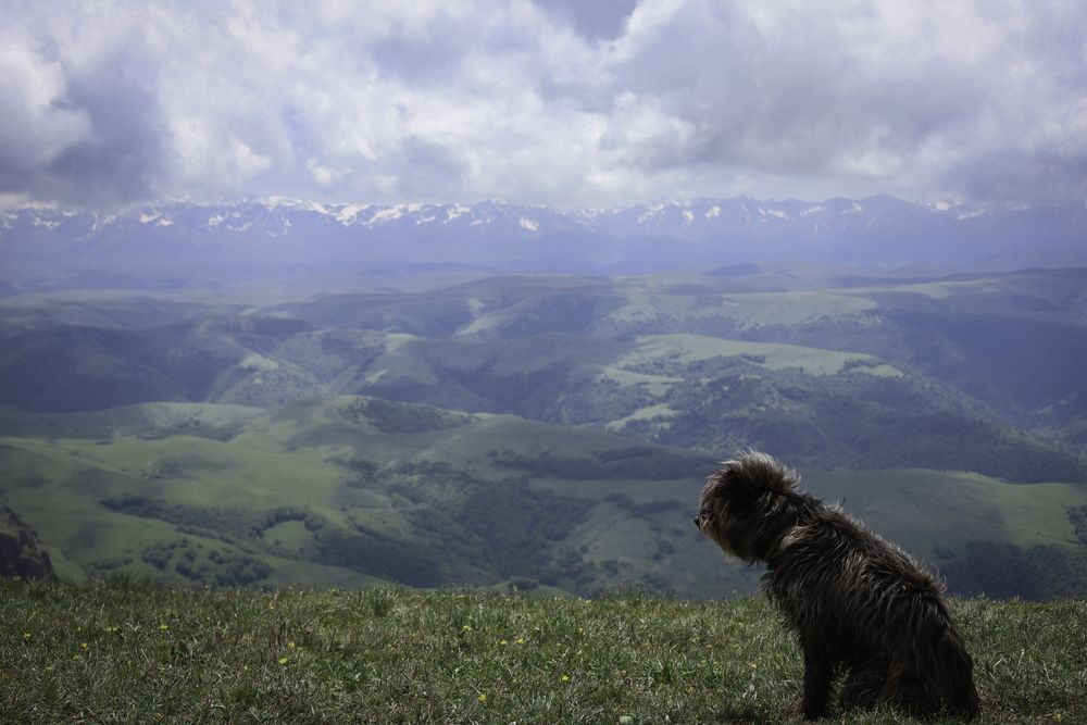 Photograph by Ольга Быкова