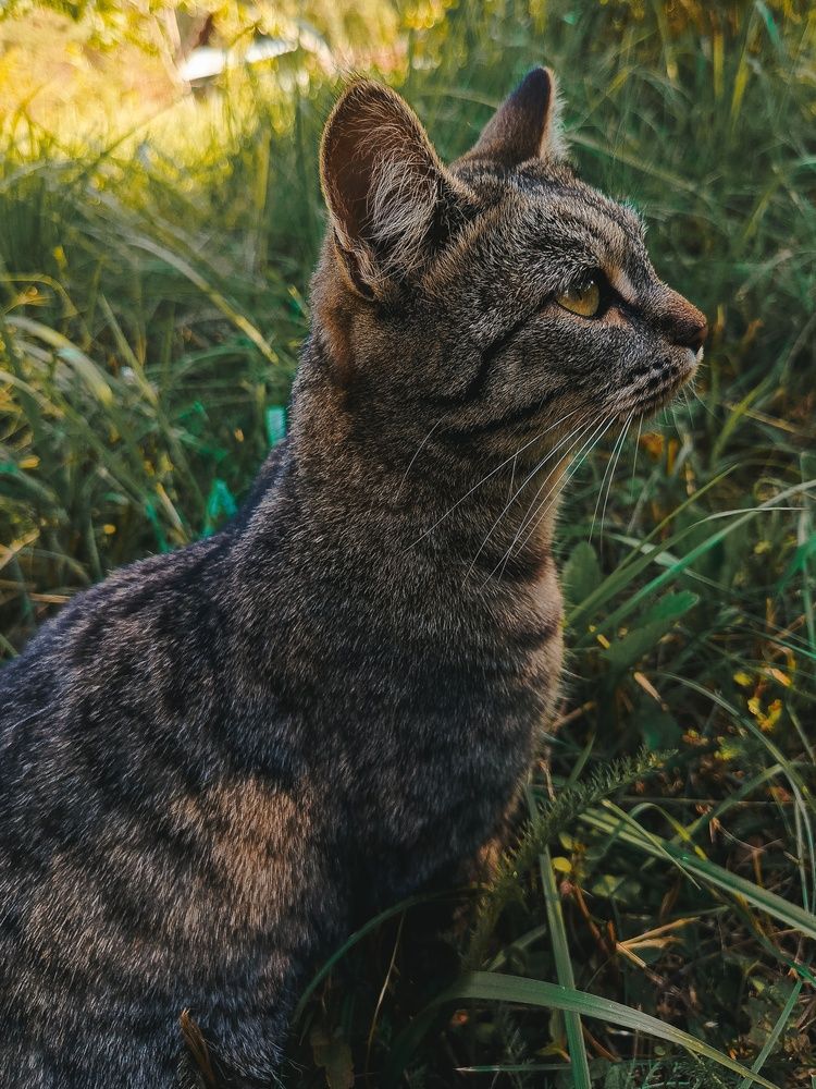 Photograph by Олеся Бронзова