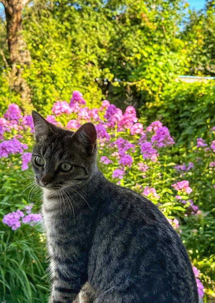 Photograph by Олеся Бронзова