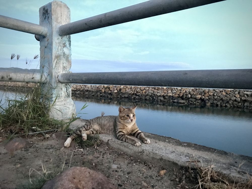 Photograph by Deasy Junita Dhani Hidayana