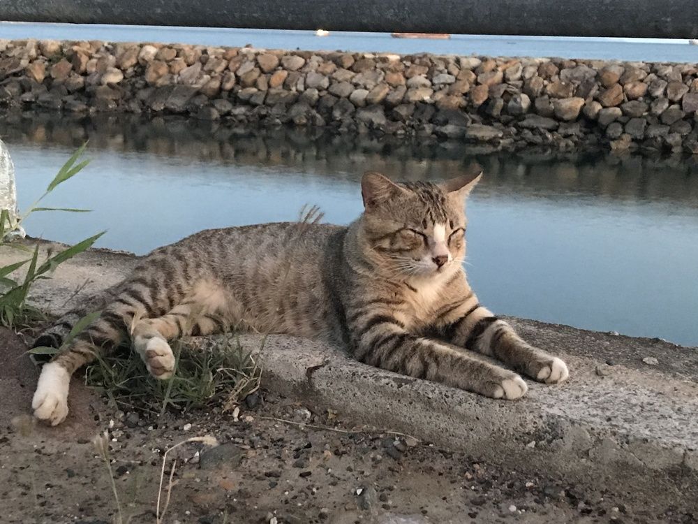 Photograph by Deasy Junita Dhani Hidayana