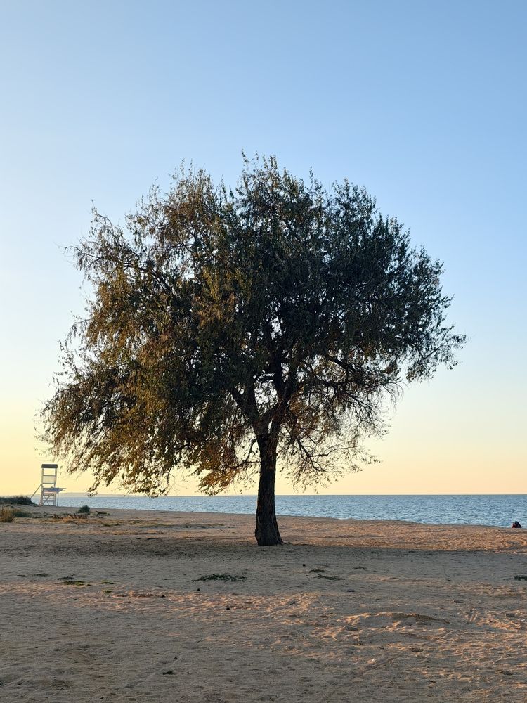 Photograph by Роман Озивской