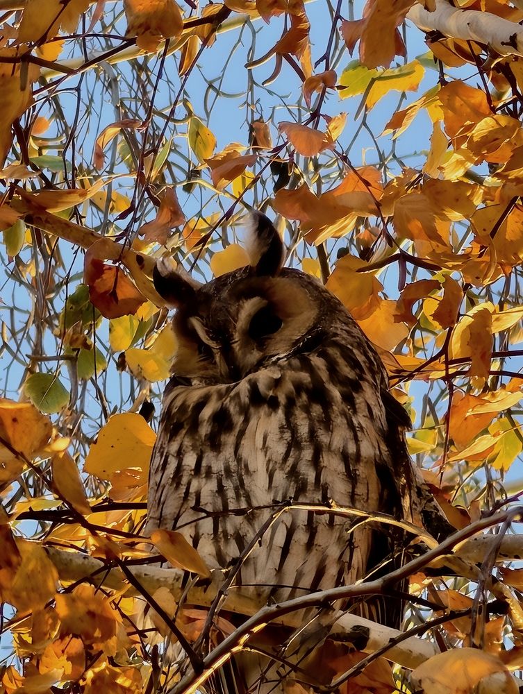 Photograph by Роман Озивской