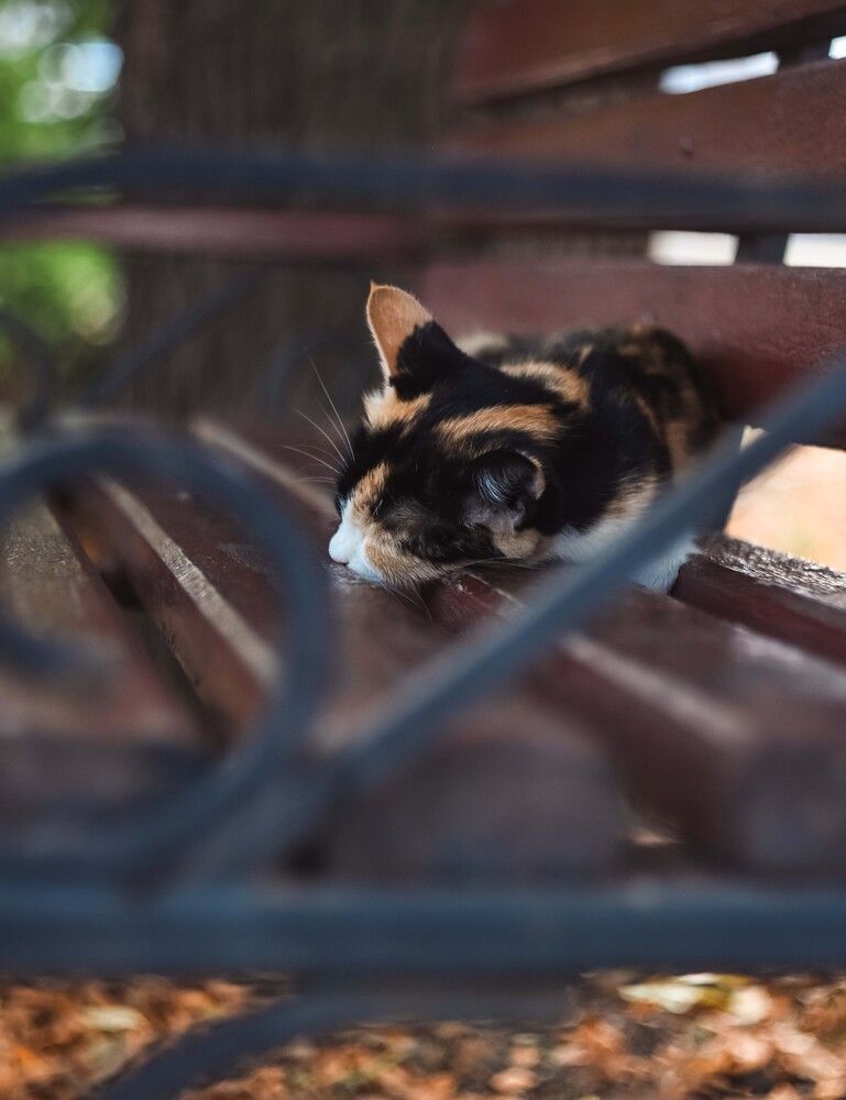 Photograph by Катерина Сорокина