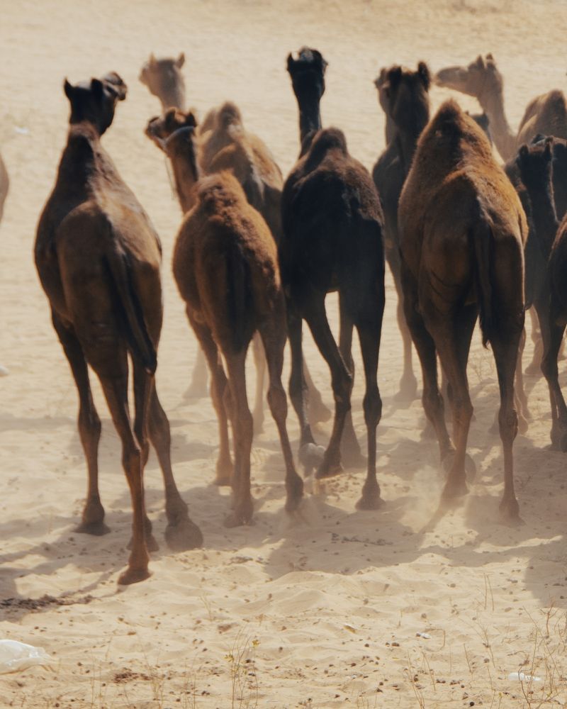 Photograph by prashant bamnawat