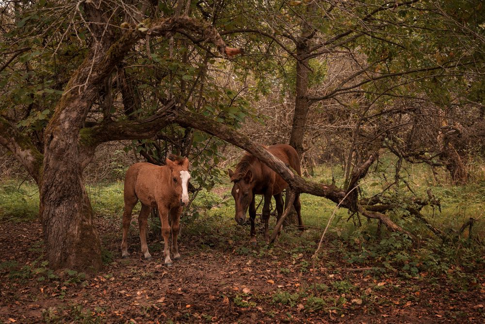Photograph by Кончакова Дарья