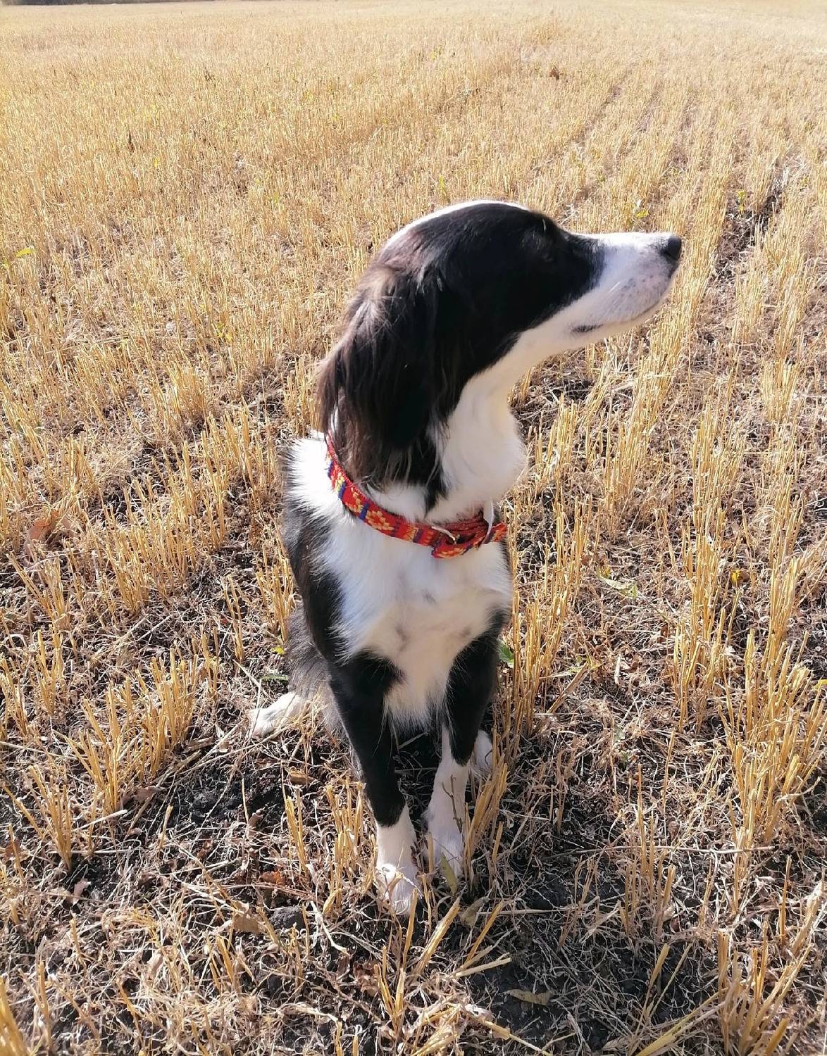 Photo #12791924