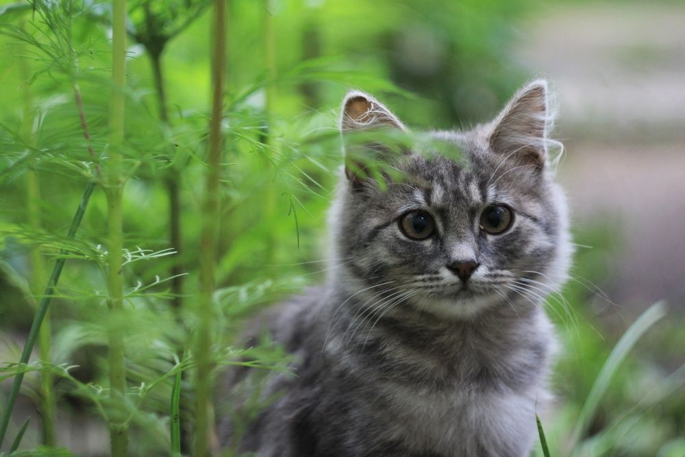 Photograph by Инна Карасева