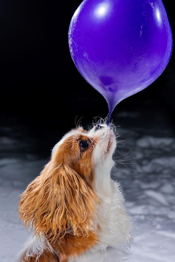 Photograph by Сергей Князев