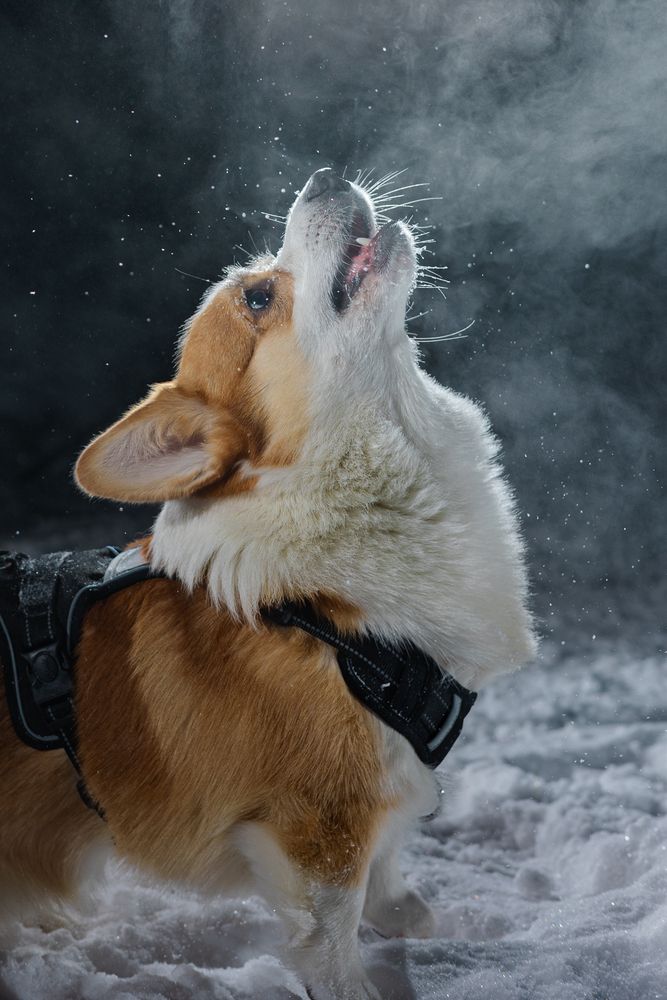 Photograph by Сергей Князев