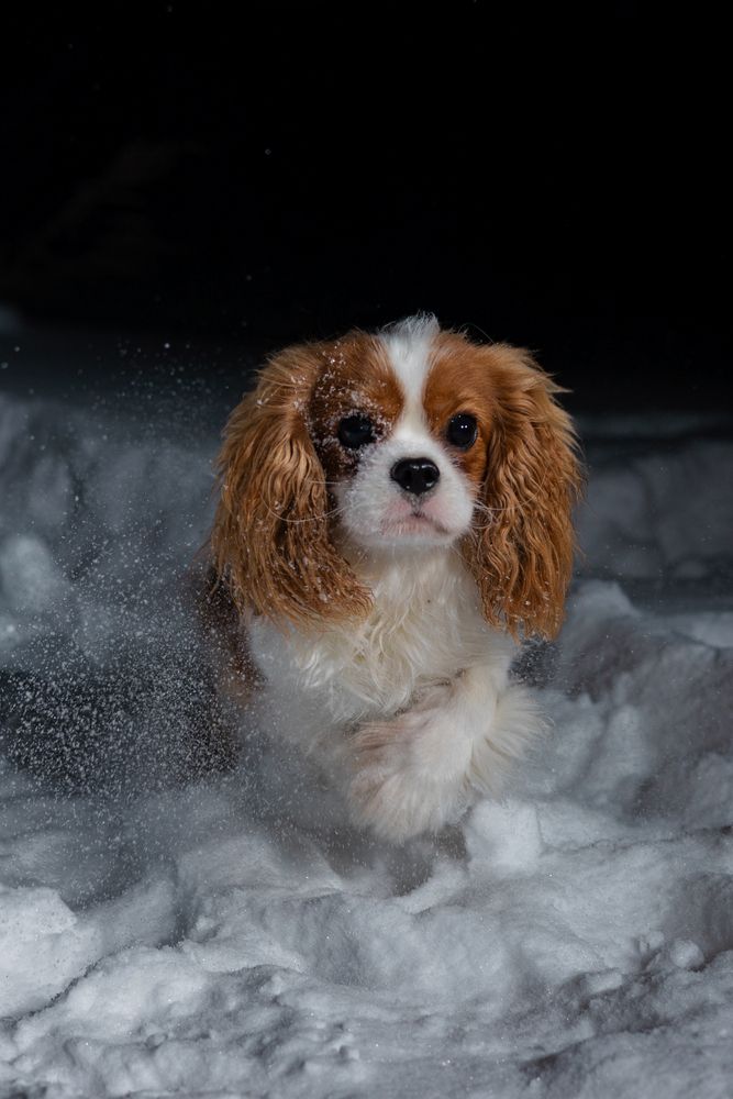 Photograph by Сергей Князев