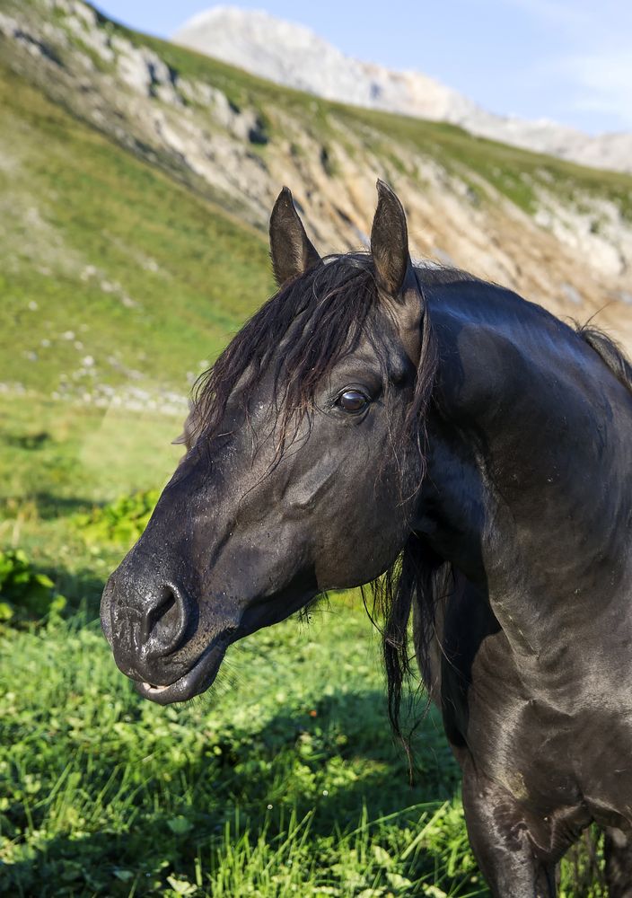 Photograph by Роман Приходько