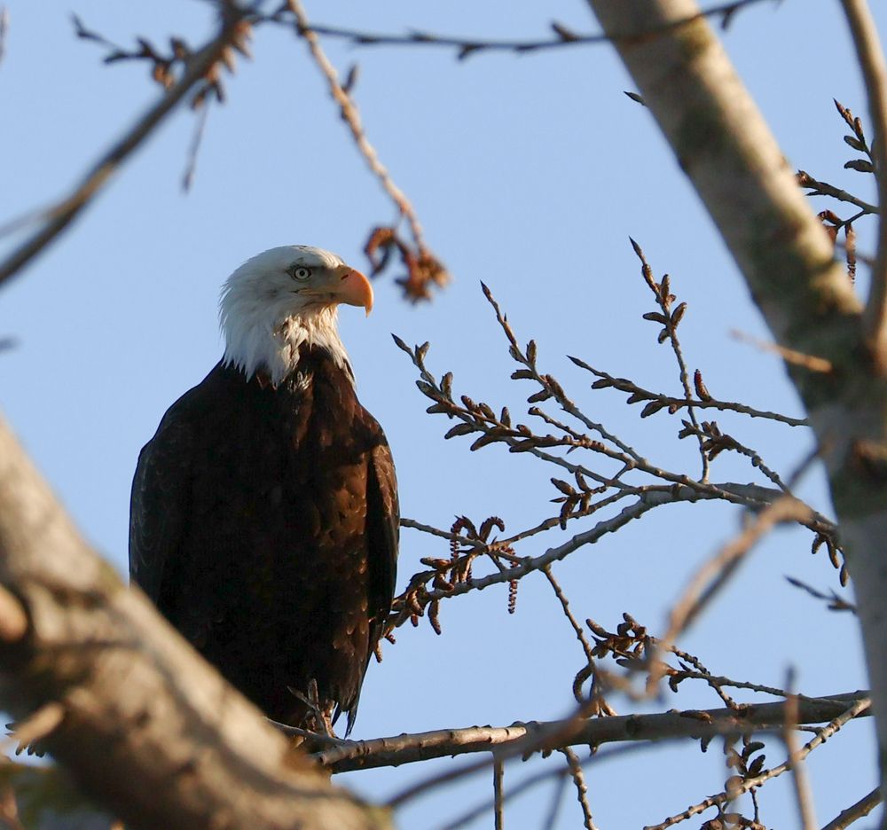 Photograph by Irina Sushkova