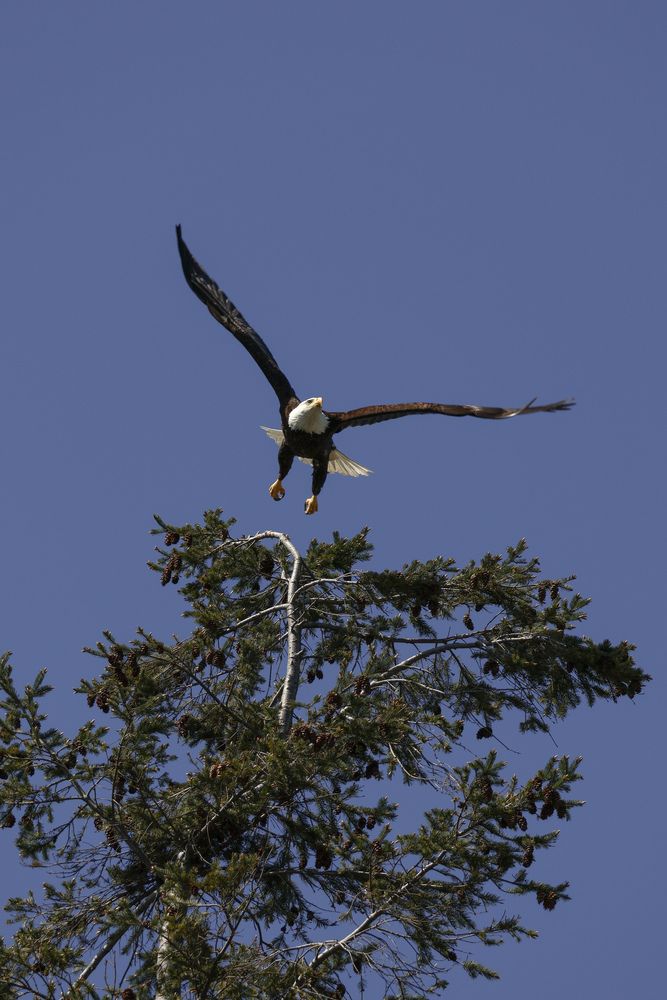 Photograph by Irina Sushkova