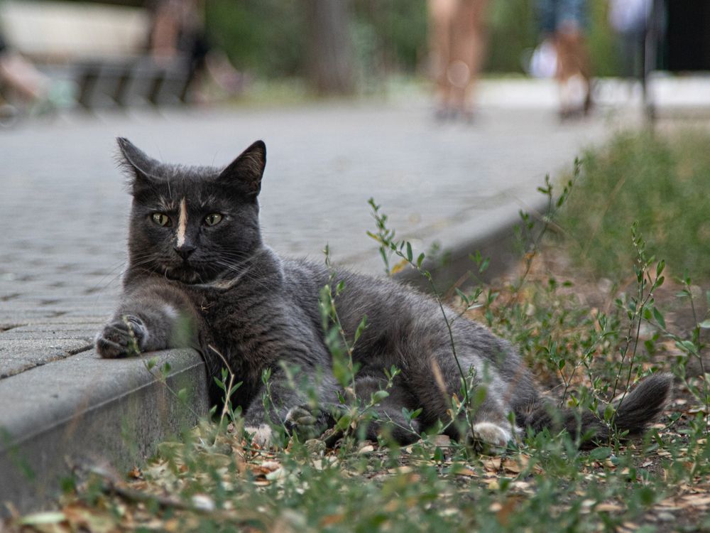 Photograph by Дмитрий Давидов