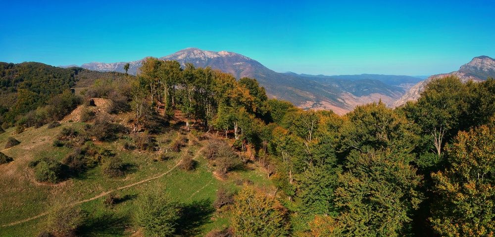 Фотография автора Mahdi Mohammadi