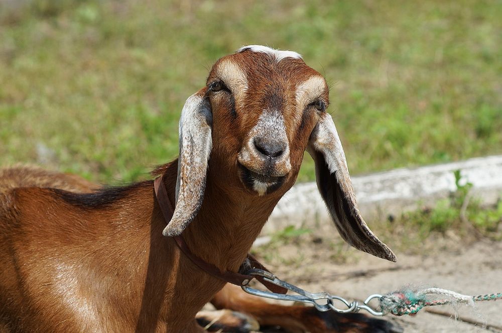 Photograph by Светлана Логинова