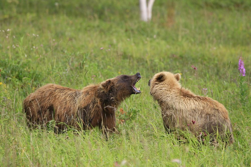 Photograph by Наталья Турчик