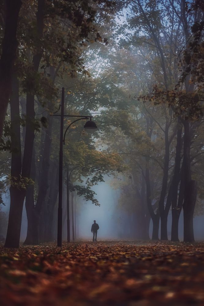 Photograph by Владимир Кульбит