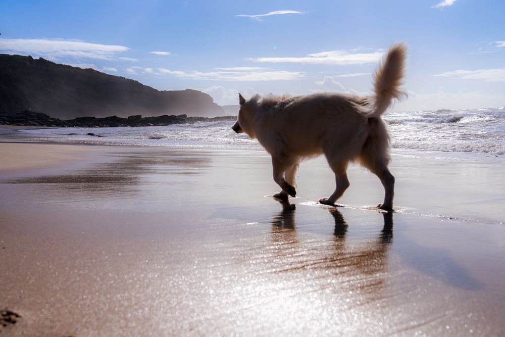 Фотография автора Сергей Леконцев