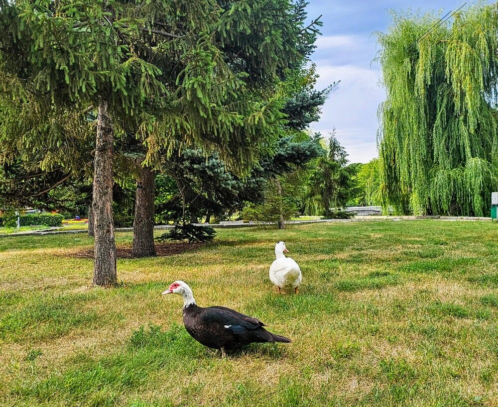 Photograph by Людмила Локтионова