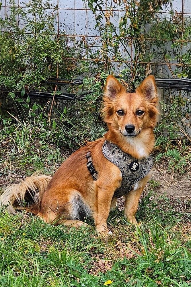 Photograph by Людмила Локтионова