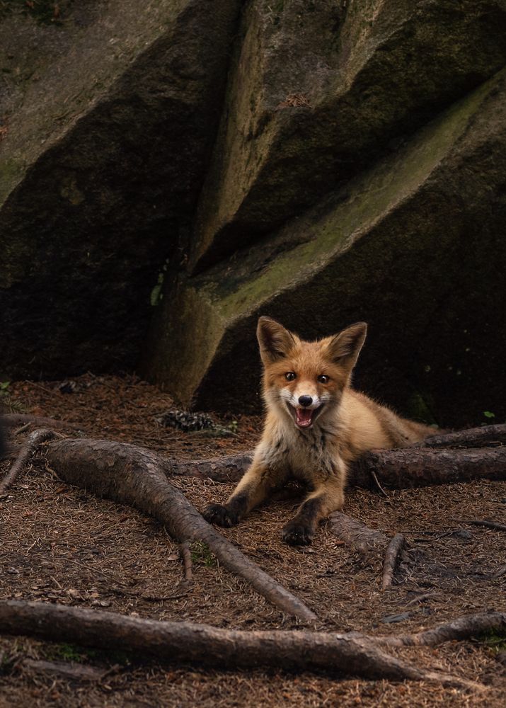 Photograph by Светлана Шахин