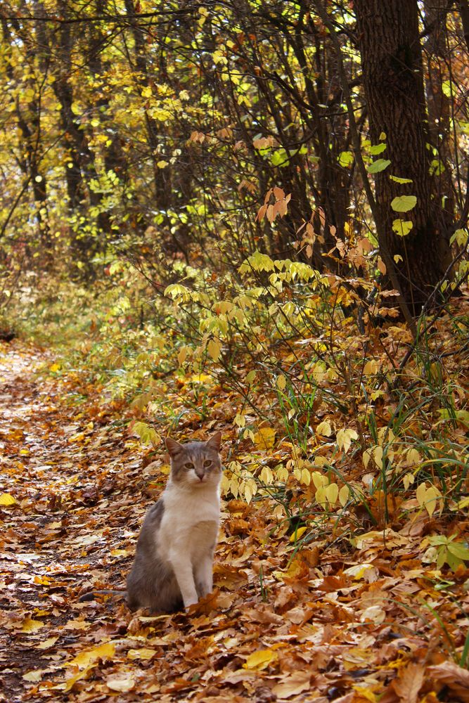 Photograph by Светлана Шубина
