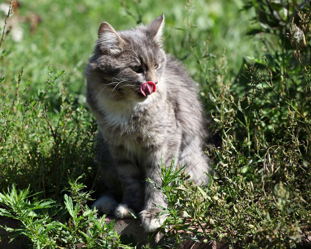 Photograph by Светлана Шубина