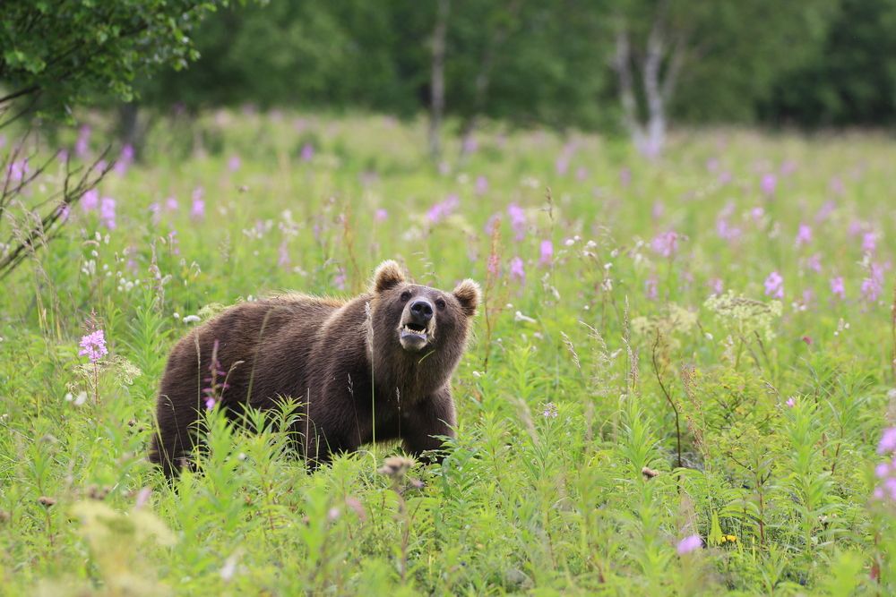 Photograph by Наталья Турчик