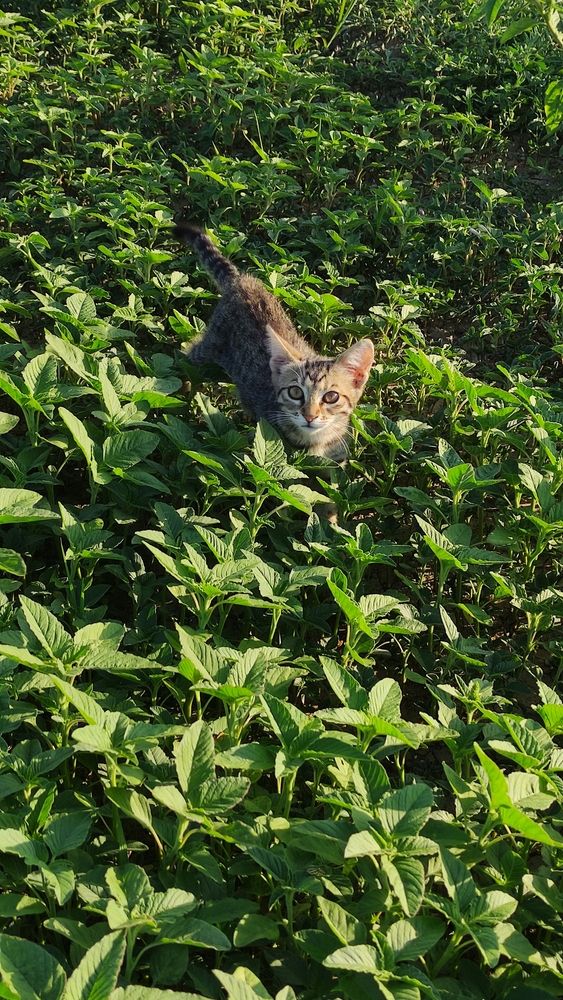 Фотография автора Васильева Ирина
