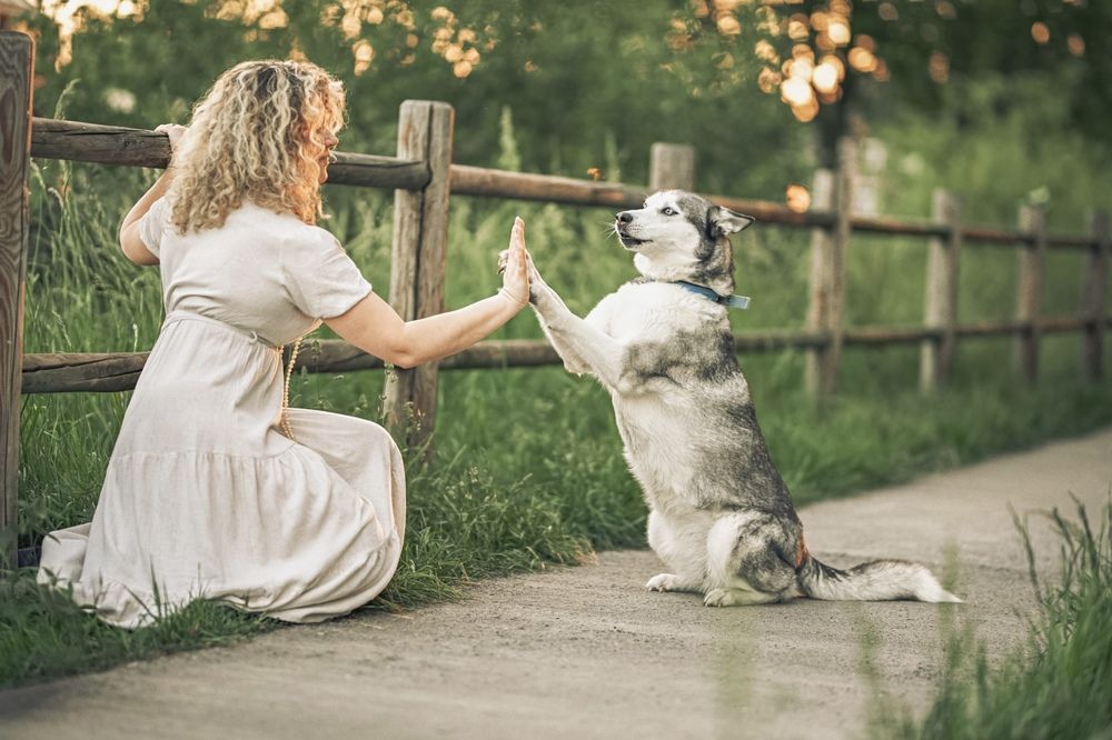 Photograph by Mila Laine